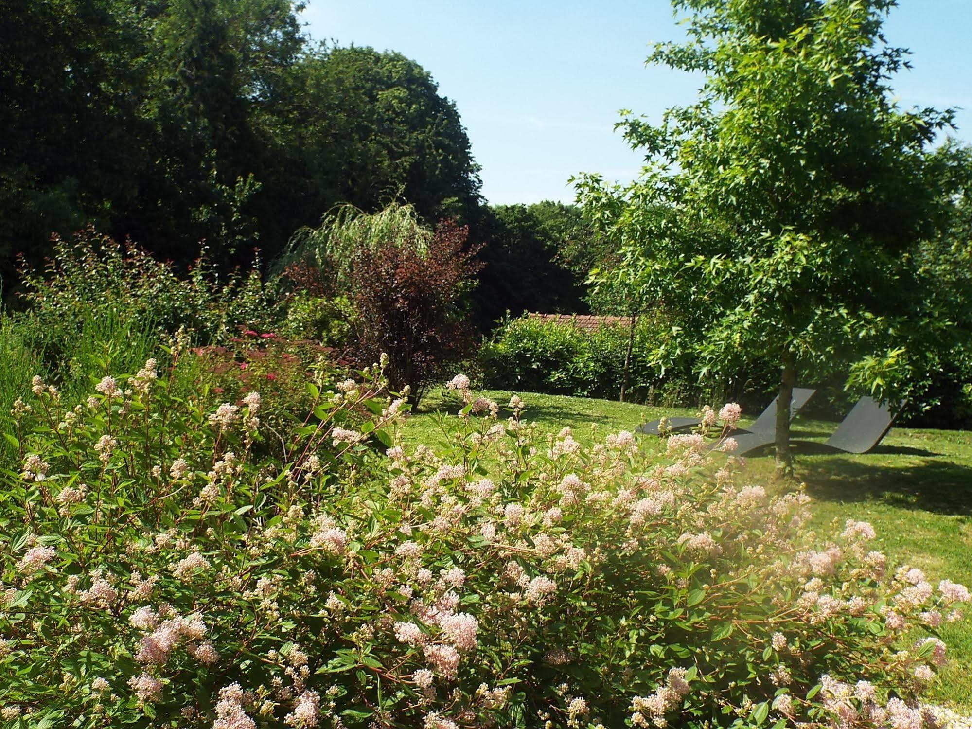 Les Roses De Montherlant Exteriér fotografie